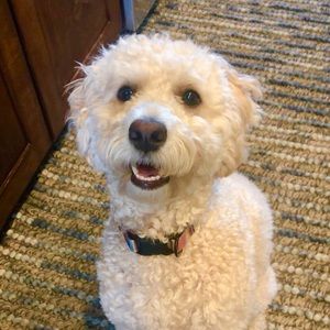 Meet your Posher, Katey